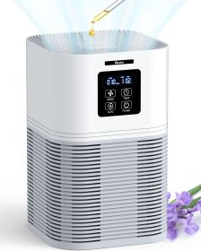 (Do Not Sell on Amazon) VEWIOR 2 in 1 Air Purifier with H13 Filters for Home Allergies Pets Hair Odor Eliminators, Aromatherapy diffuser and Auto Mode