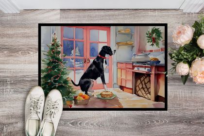 Great Dane Christmas Cookies Doormat Front Door Mat Indoor Outdoor Rugs for Entryway, Non Slip Washable Low Pile, 24H X 36W