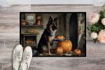 Belgian Tervuren Fall Kitchen Pumpkins Doormat Front Door Mat Indoor Outdoor Rugs for Entryway, Non Slip Washable Low Pile, 24H X 36W