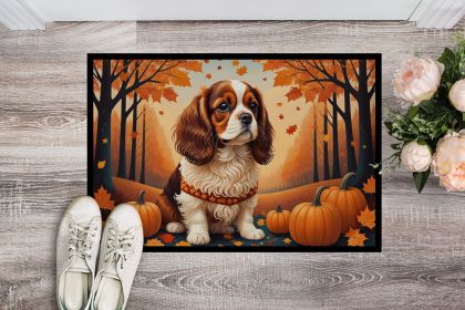 Cavalier Spaniel Fall Doormat Front Door Mat Indoor Outdoor Rugs for Entryway, Non Slip Washable Low Pile, 24H X 36W