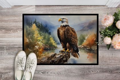 Eagle Doormat Front Door Mat Indoor Outdoor Rugs for Entryway, Non Slip Washable Low Pile, 24H X 36W