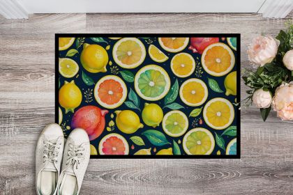 Colorful Lemons Doormat Front Door Mat Indoor Outdoor Rugs for Entryway, Non Slip Washable Low Pile, 24H X 36W