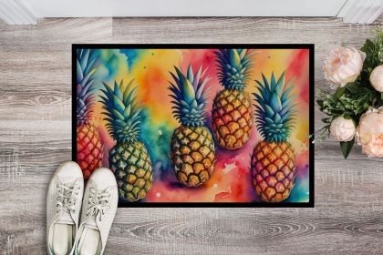 Colorful Pineapples Doormat Front Door Mat Indoor Outdoor Rugs for Entryway, Non Slip Washable Low Pile, 24H X 36W