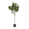 59 Inch Artificial Lemon Tree, Faux Lemon Plastic Fruit Tree for Indoor Home Decor Office Living Room