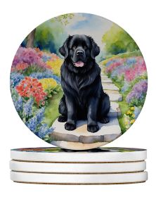 Newfoundland Spring Path Large Sandstone Coasters Pack of 4 Absorbent Round Coasters Decor Gifts for Men or Women, 4 in, Multicolor