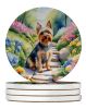 Silky Terrier Spring Path Large Sandstone Coasters Pack of 4 Absorbent Round Coasters Decor Gifts for Men or Women, 4 in, Multicolor