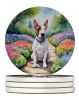 English Bull Terrier Spring Path Large Sandstone Coasters Pack of 4 Absorbent Round Coasters Decor Gifts for Men or Women, 4 in, Multicolor