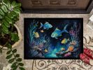 Bioluminescent Fish Doormat Front Door Mat Indoor Outdoor Rugs for Entryway, Non Slip Washable Low Pile, 24H X 36W