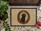 Flat-Coated Retriever Christmas Flowers Doormat Front Door Mat Indoor Outdoor Rugs for Entryway, Non Slip Washable Low Pile, 24H X 36W