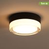 Small Size Flush Mount Ceiling Light 24W Glass Lampshade 2700K Ceiling Light Fixture for Bedroom Kids Room