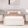 Modern Design Wooden Twin Size Platform Bed with 2 Drawers for White Washed Color