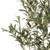 47 inch Artificial Olive Tree