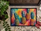 Colorful Pineapples Doormat Front Door Mat Indoor Outdoor Rugs for Entryway, Non Slip Washable Low Pile, 24H X 36W