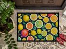 Colorful Lemons Doormat Front Door Mat Indoor Outdoor Rugs for Entryway, Non Slip Washable Low Pile, 24H X 36W