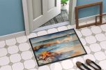 Starfish Doormat Front Door Mat Indoor Outdoor Rugs for Entryway, Non Slip Washable Low Pile, 24H X 36W