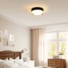 Small Size Flush Mount Ceiling Light 24W Glass Lampshade 2700K Ceiling Light Fixture for Bedroom Kids Room