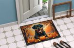 Rottweiler Fall Doormat Front Door Mat Indoor Outdoor Rugs for Entryway, Non Slip Washable Low Pile, 24H X 36W