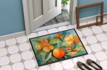 Florida Orange Blossom in Watercolor Doormat Front Door Mat Indoor Outdoor Rugs for Entryway, Non Slip Washable Low Pile, 24H X 36W