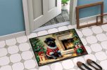 Affenpinscher Cozy Christmas Doormat Front Door Mat Indoor Outdoor Rugs for Entryway, Non Slip Washable Low Pile, 24H X 36W