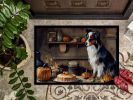 Australian Shepherd Fall Kitchen Pumpkins Doormat Front Door Mat Indoor Outdoor Rugs for Entryway, Non Slip Washable Low Pile, 24H X 36W