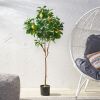 59 Inch Artificial Lemon Tree, Faux Lemon Plastic Fruit Tree for Indoor Home Decor Office Living Room