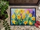 Daffodils in Watercolor Doormat Front Door Mat Indoor Outdoor Rugs for Entryway, Non Slip Washable Low Pile, 24H X 36W