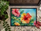 Hawaii Hawaiian Hibiscus in Watercolor Doormat Front Door Mat Indoor Outdoor Rugs for Entryway, Non Slip Washable Low Pile, 24H X 36W