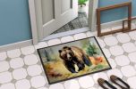 Grizzly Bear Doormat Front Door Mat Indoor Outdoor Rugs for Entryway, Non Slip Washable Low Pile, 24H X 36W