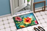 Hawaii Hawaiian Hibiscus in Watercolor Doormat Front Door Mat Indoor Outdoor Rugs for Entryway, Non Slip Washable Low Pile, 24H X 36W