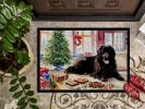 Newfoundland Christmas Cookies Doormat Front Door Mat Indoor Outdoor Rugs for Entryway, Non Slip Washable Low Pile, 24H X 36W