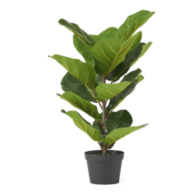 65CM Artificial Fiddle Leaf Fig Tree