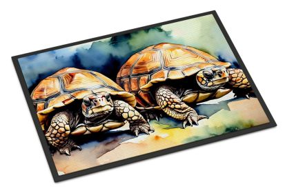 Turtles Tortoises Doormat Front Door Mat Indoor Outdoor Rugs for Entryway, Non Slip Washable Low Pile, 24H X 36W (Default: Default)