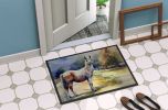 Llama Doormat Front Door Mat Indoor Outdoor Rugs for Entryway, Non Slip Washable Low Pile, 24H X 36W