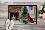 Irish Setter Cozy Christmas Doormat Front Door Mat Indoor Outdoor Rugs for Entryway, Non Slip Washable Low Pile, 24H X 36W