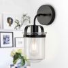 1-Light Wall Lamp with Clear Glass Shade, Modern Wall Sconce, Industrial Indoor Wall Light Fixture for Bathroom Living Room Bedroom Over Kitchen Sink